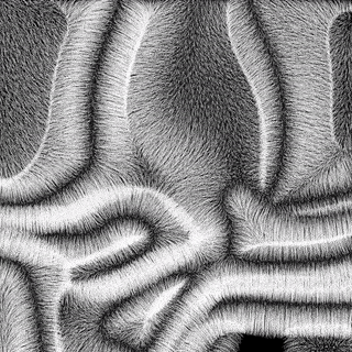 Fractal noise hair