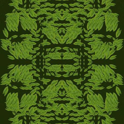 Fractal noise hair